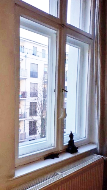 Ausblick