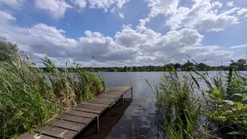 Direkter Zugang zum See