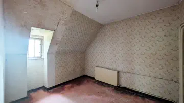 Zimmer DG