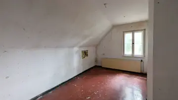 Zimmer DG