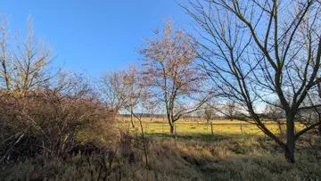 Umgebung