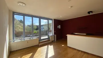offene Küche im Wohnraum