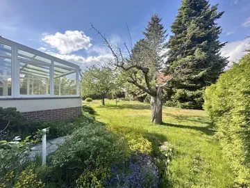 Blick in den Garten
