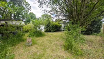 Blick in den Garten