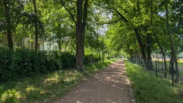 Weg zum Ufer des Tiefen Sees