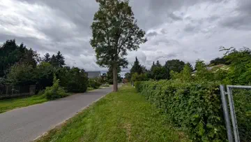 Grundstücksgrenze Straße