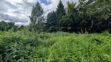 Grundstück