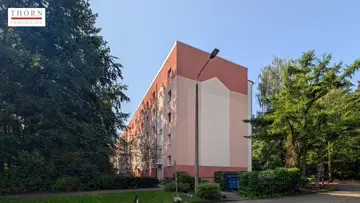 Seiten- und Rückansicht