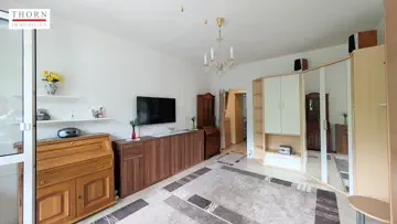Wohnzimmer Blick zum Flur