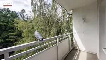Balkon mit Blick in den Wald1
